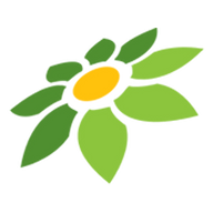 MOD APK DLS